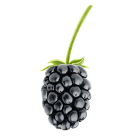 fruits & blackberry free transparent png image.