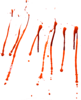 miscellaneous & blood free transparent png image.