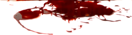 miscellaneous & blood free transparent png image.