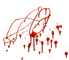 miscellaneous & blood free transparent png image.