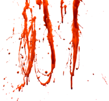 miscellaneous & blood free transparent png image.