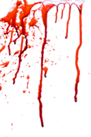 miscellaneous & blood free transparent png image.