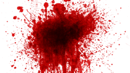 miscellaneous & blood free transparent png image.