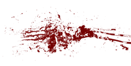 miscellaneous & blood free transparent png image.