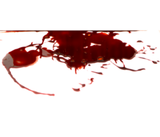 miscellaneous & blood free transparent png image.