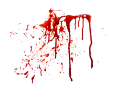 miscellaneous & blood free transparent png image.