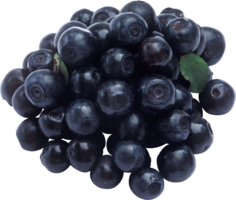 fruits & Blueberries free transparent png image.