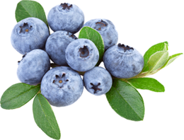 fruits & blueberries free transparent png image.