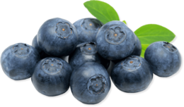 fruits & blueberries free transparent png image.