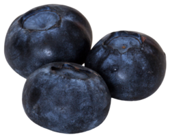 fruits & blueberries free transparent png image.