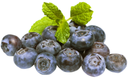 fruits & blueberries free transparent png image.