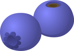 fruits & blueberries free transparent png image.