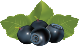 fruits & blueberries free transparent png image.