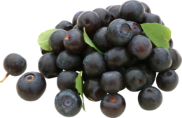 fruits & blueberries free transparent png image.