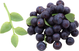 fruits & blueberries free transparent png image.