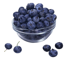 fruits & blueberries free transparent png image.