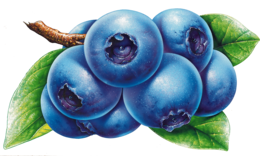 fruits & blueberries free transparent png image.