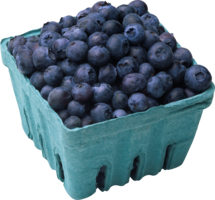 fruits & blueberries free transparent png image.