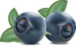 fruits & blueberries free transparent png image.