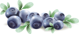 fruits & blueberries free transparent png image.