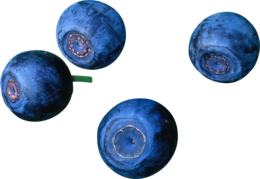 fruits & blueberries free transparent png image.