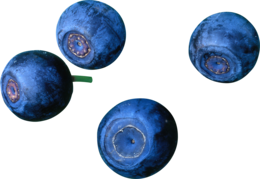 fruits & Blueberries free transparent png image.