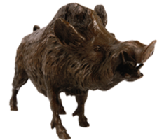 animals & Boar free transparent png image.