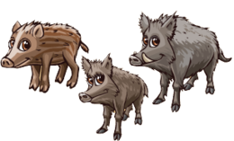 animals & boar free transparent png image.