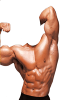 sport & bodybuilding free transparent png image.