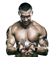 sport & bodybuilding free transparent png image.