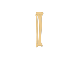 miscellaneous & Bone free transparent png image.