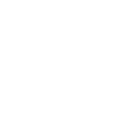 miscellaneous & bone free transparent png image.