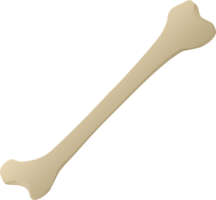 miscellaneous & bone free transparent png image.