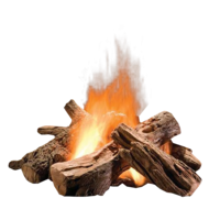 nature & Bonfire free transparent png image.