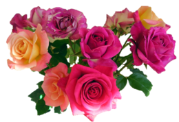 flowers & Bouquet of flowers free transparent png image.