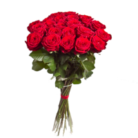 flowers & bouquet of flowers free transparent png image.