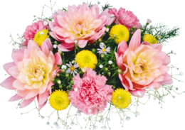 flowers & Bouquet of flowers free transparent png image.