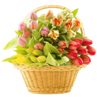 flowers & bouquet of flowers free transparent png image.