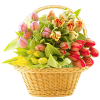 flowers & Bouquet of flowers free transparent png image.