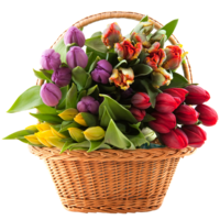 flowers & bouquet of flowers free transparent png image.