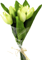 flowers & Bouquet of flowers free transparent png image.