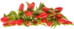 flowers & Bouquet of flowers free transparent png image.