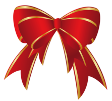 miscellaneous & bow free transparent png image.