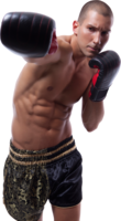 sport & boxing gloves free transparent png image.