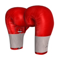 sport & boxing gloves free transparent png image.