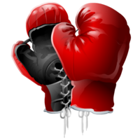 sport & Boxing gloves free transparent png image.