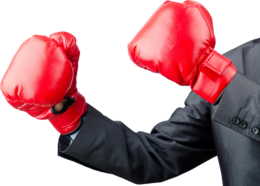 sport & boxing gloves free transparent png image.