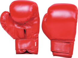 sport & boxing gloves free transparent png image.