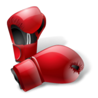 sport & boxing gloves free transparent png image.