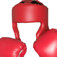 sport & Boxing gloves free transparent png image.